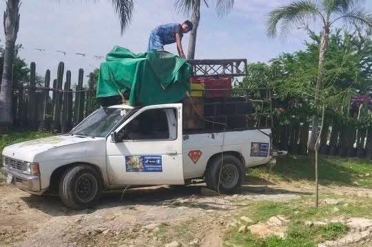 sdsd