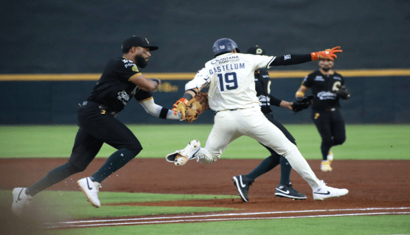 Serie empatada entre los Pericos y Tigres.