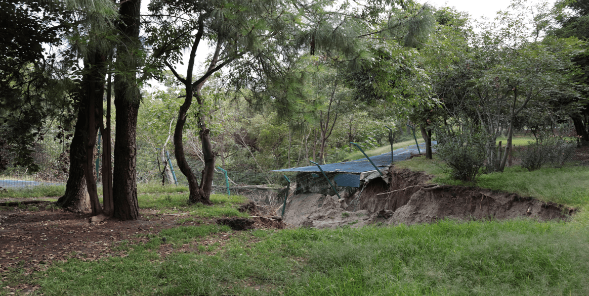 Atención: se mantiene cerrada la Ciclopista del Parque Metropolitano.