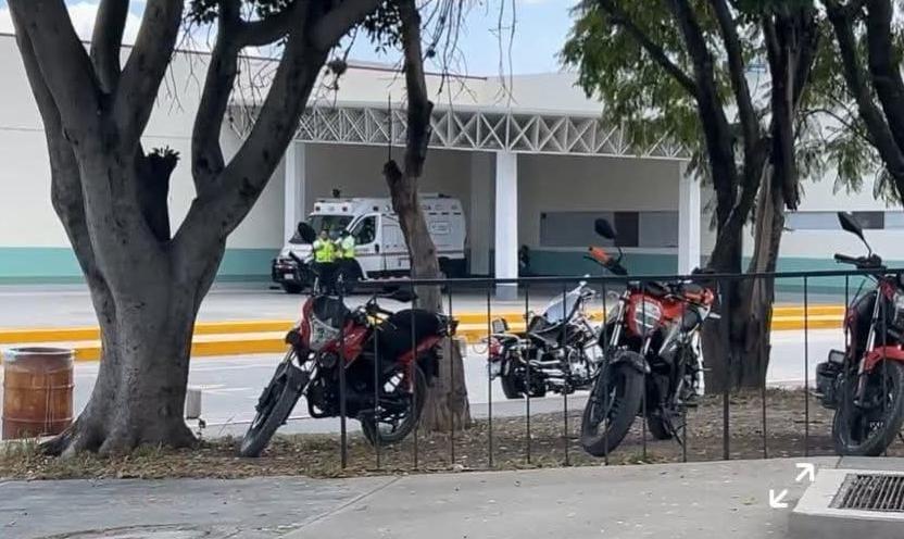 dfdf