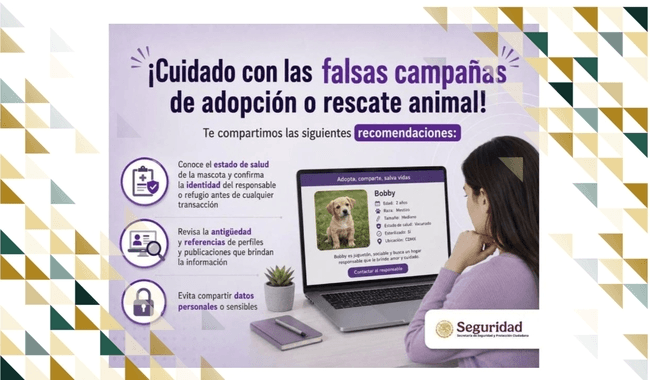 No caigas en fraudes de falsas campañas de adopción o rescate animal.