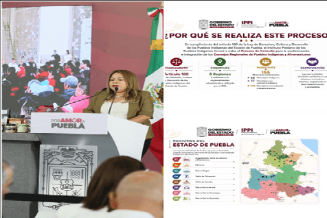 consulta indígena