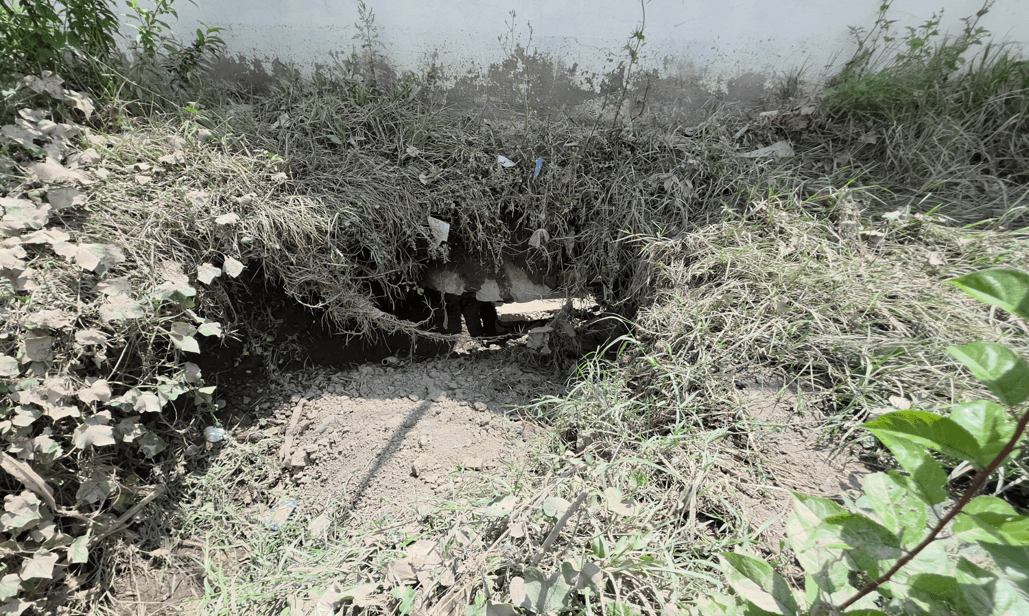Fisura geológica representa un peligro a primaria y viviendas en Coronango.