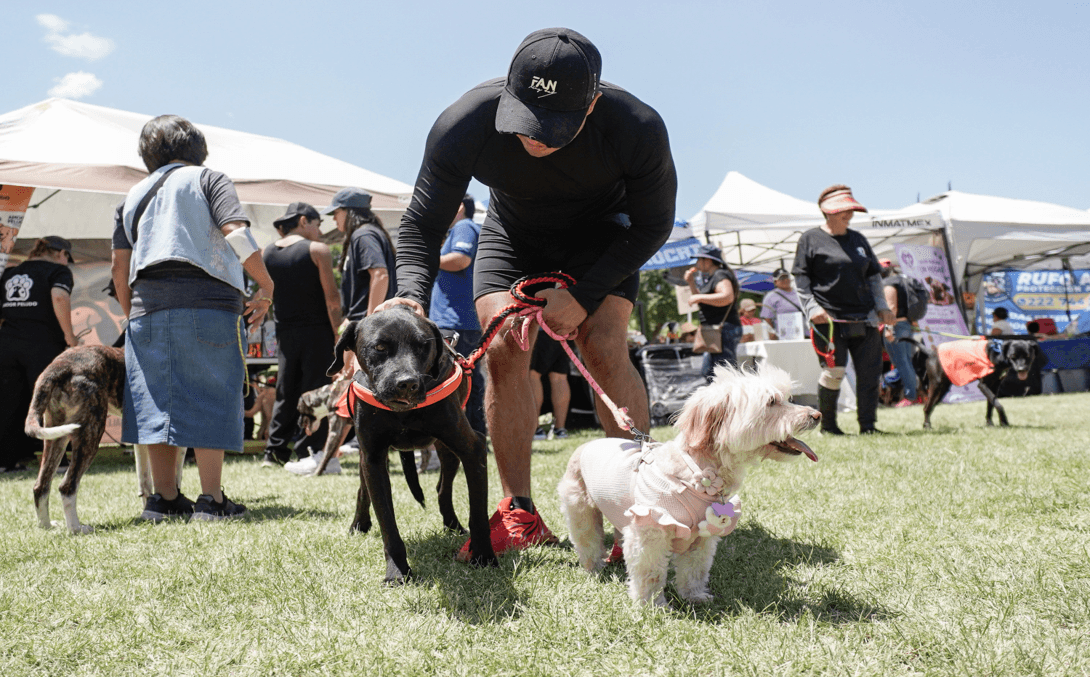 Adopta Fest promueve el cuidado de los seres sintientes en Puebla.