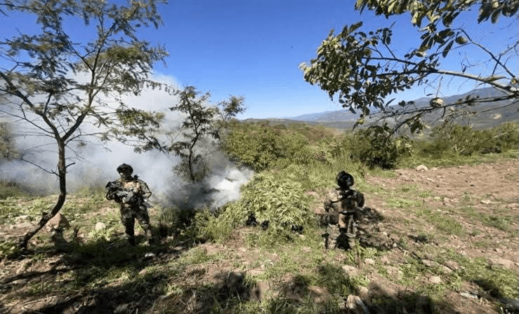 Informa Gabinete de Seguridad acciones relevantes del 22 de octubre.